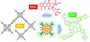 Graphical abstract: Microporous organic network nanoparticles for dual chemo-photodynamic cancer therapy