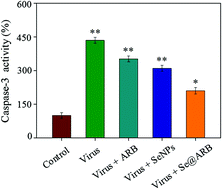 Graphical abstract: Inhibition of H1N1 influenza virus-induced apoptosis by selenium nanoparticles functionalized with arbidol through ROS-mediated signaling pathways