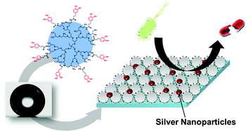 Graphical abstract: Mussel-inspired coatings with tunable wettability, for enhanced antibacterial efficiency and reduced bacterial adhesion