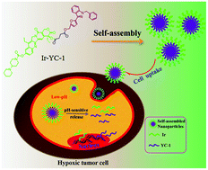 Graphical abstract: Promoting antitumor efficacy by suppressing hypoxia via nano self-assembly of two irinotecan-based dual drug conjugates having a HIF-1α inhibitor