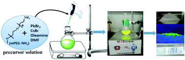 Graphical abstract: Thermally stable and hydrophilic CsPbBr3/mPEG-NH2 nanocrystals with enhanced aqueous fluorescence for cell imaging