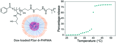 Graphical abstract: Thermoresponsive polysarcosine-based nanoparticles