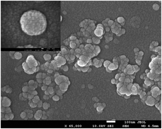 Graphical abstract: Novel lignin nanoparticles for oral drug delivery