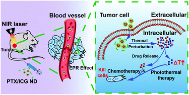 Graphical abstract: Carrier-free nanodrugs for in vivo NIR bioimaging and chemo-photothermal synergistic therapy