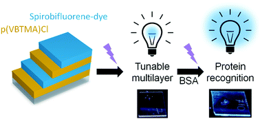 Graphical abstract: Self-assembled multilayer surfaces of highly fluorescent spirobifluorene-based dye for label-free protein recognition