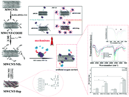 Graphical abstract: Development of novel oxygen carriers by coupling hemoglobin to functionalized multiwall carbon nanotubes