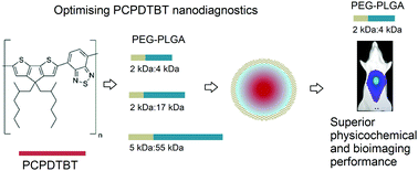 Graphical abstract: Low molecular weight PEG–PLGA polymers provide a superior matrix for conjugated polymer nanoparticles in terms of physicochemical properties, biocompatibility and optical/photoacoustic performance