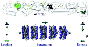 Graphical abstract: Revealing the role of different nitrogen functionalities in the drug delivery performance of graphene quantum dots: a combined density functional theory and molecular dynamics approach