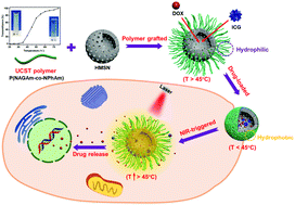 Graphical abstract: Upper critical solution temperature polymer-grafted hollow mesoporous silica nanoparticles for near-infrared-irradiated drug release