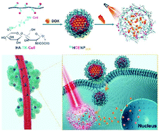 Graphical abstract: Light-activated drug release from a hyaluronic acid targeted nanoconjugate for cancer therapy