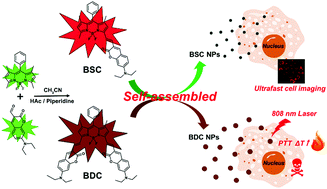 Graphical abstract: Comparative study of two near-infrared coumarin–BODIPY dyes for bioimaging and photothermal therapy of cancer