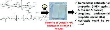 Graphical abstract: Photoinduced chitosan–PEG hydrogels with long-term antibacterial properties