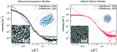 Graphical abstract: Structural transitions and encapsulation selectivity of thermoresponsive polyelectrolyte complex micelles
