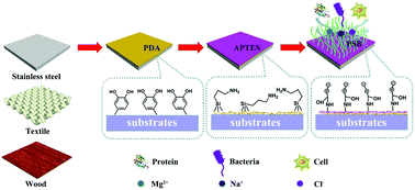 Graphical abstract: Layer-by-layer zwitterionic modification of diverse substrates with durable anti-corrosion and anti-fouling properties