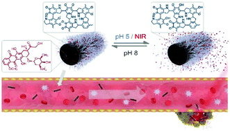 Graphical abstract: Facile fabrication of polydopamine nanotubes for combined chemo-photothermal therapy