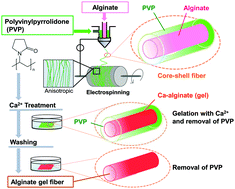 Graphical abstract: Geometrically customizable alginate hydrogel nanofibers for cell culture platforms