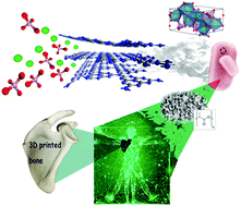 Graphical abstract: Template-oriented synthesis of hydroxyapatite nanoplates for 3D bone printing