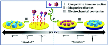 Graphical abstract: Low fouling and ultrasensitive electrochemical immunosensors with dual assay methods based on Fe3O4 magnetic nanoparticles