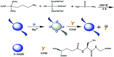 Graphical abstract: A dual-responsive fluorescent sensor for Hg2+ and thiols based on N-doped silicon quantum dots and its application in cell imaging