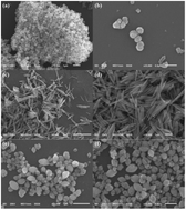 Graphical abstract: Multifunctional drug carrier on the basis of 3d–4f Fe/La-MOFs for drug delivery and dual-mode imaging