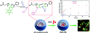 Graphical abstract: Sequential post-polymerization modification of a pentafluorophenyl ester-containing homopolymer: a convenient route to effective pH-responsive nanocarriers for anticancer drugs