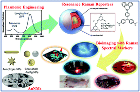 Graphical abstract: Recent advances in cancer bioimaging using a rationally designed Raman reporter in combination with plasmonic gold