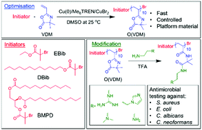 Graphical abstract: An optimised Cu(0)-RDRP approach for the synthesis of lipidated oligomeric vinyl azlactone: toward a versatile antimicrobial materials screening platform