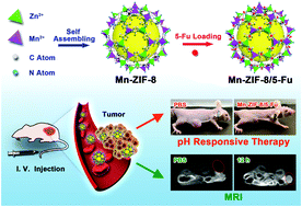 Graphical abstract: A combination of glioma in vivo imaging and in vivo drug delivery by metal–organic framework based composite nanoparticles