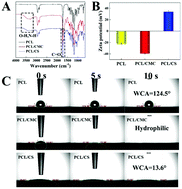 Graphical abstract: A chitosan modified asymmetric small-diameter vascular graft with anti-thrombotic and anti-bacterial functions for vascular tissue engineering