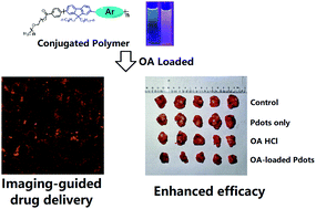 Graphical abstract: An oroxylin A-loaded aggregation-induced emission active polymeric system greatly increased the antitumor efficacy against squamous cell carcinoma