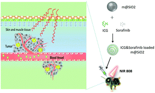 Graphical abstract: An NIR-responsive mesoporous silica nanosystem for synergetic photothermal-immunoenhancement therapy of hepatocellular carcinoma