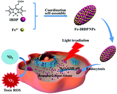 Graphical abstract: Self-quenching synthesis of coordination polymer pre-drug nanoparticles for selective photodynamic therapy
