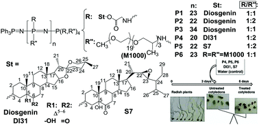 Graphical abstract: Polyphosphazene-based nanocarriers for the release of agrochemicals and potential anticancer drugs