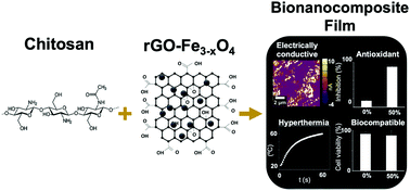 Graphical abstract: Biocompatible chitosan-based composites with properties suitable for hyperthermia therapy