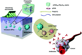 Graphical abstract: Highly potent intradermal vaccination by an array of dissolving microneedle polypeptide cocktails for cancer immunotherapy