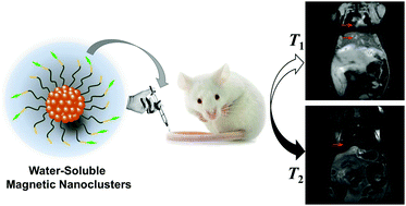 Graphical abstract: One-pot synthesis of water-soluble and biocompatible superparamagnetic gadolinium-doped iron oxide nanoclusters