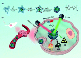 Graphical abstract: Polypyrrole-based double rare earth hybrid nanoparticles for multimodal imaging and photothermal therapy