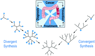 Graphical abstract: Dendrimer nanoparticles for colorectal cancer applications