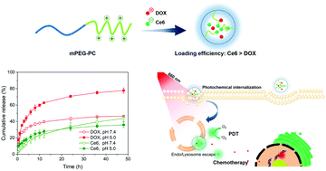 Graphical abstract: Leveraging a polycationic polymer to direct tunable loading of an anticancer agent and photosensitizer with opposite charges for chemo–photodynamic therapy