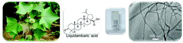 Graphical abstract: Retracted Article: A self-assembled supramolecular natural product gel from liquidambaric acid in traditional Chinese medicine with inherent anti-inflammatory activity for drug delivery