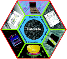 Graphical abstract: Self-assembled structures of halloysite nanotubes: towards the development of high-performance biomedical materials