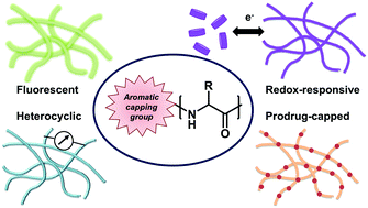 Graphical abstract: Beyond Fmoc: a review of aromatic peptide capping groups