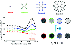 Graphical abstract: Dendrimeric calcium-sensitive MRI probes: the first low-field relaxometric study