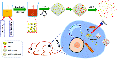 Graphical abstract: pH-Responsive metal–organic framework encapsulated gold nanoclusters with modulated release to enhance photodynamic therapy/chemotherapy in breast cancer