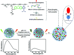 Graphical abstract: Fluorescent molecularly imprinted nanoparticles with boronate affinity for selective glycoprotein detection