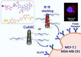 Graphical abstract: Glycopolymer decorated multiwalled carbon nanotubes for dual targeted breast cancer therapy