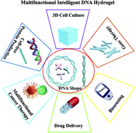 Graphical abstract: Functional DNA-based hydrogel intelligent materials for biomedical applications