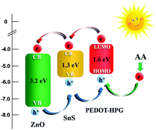 Graphical abstract: Introduction of an antifouling photoelectrode: an effective strategy for a high-performance photoelectrochemical cytosensor