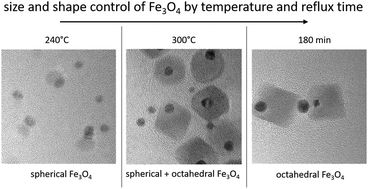 Graphical abstract: Unravelling the nucleation, growth, and faceting of magnetite–gold nanohybrids