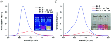 Graphical abstract: A rhodol-enone dye platform with dual reaction triggers for specific detection of Cys